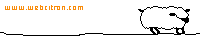web*citron